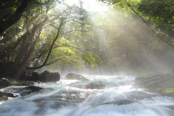 �N���j�b�N�O��